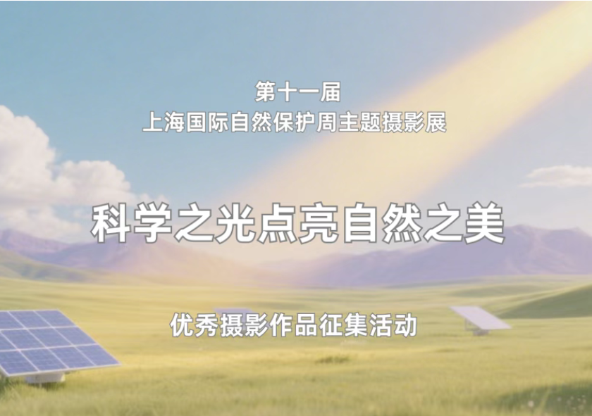 新的一年摄影展又来啦，邀请大家参与！