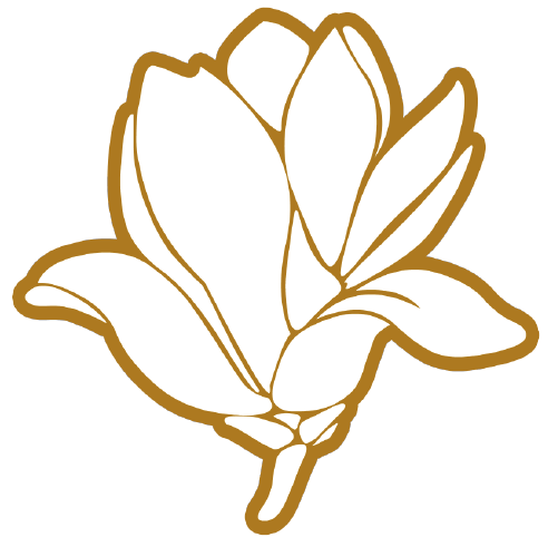 关于申报2025年“上海科普教育创新奖”的通知