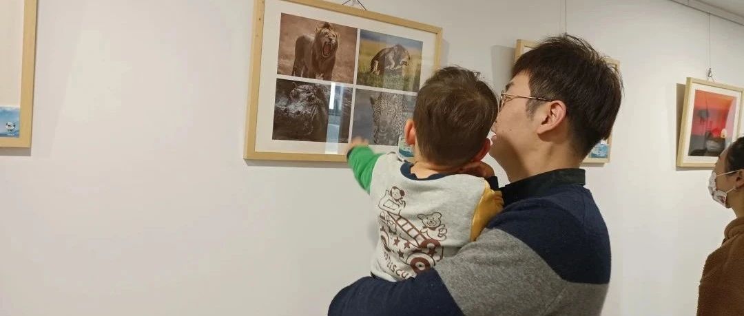 “聚焦绿色发展，拥抱低碳生活”碳中和主题系列绿色生态摄影作品展在静安区江宁路街道开展啦~